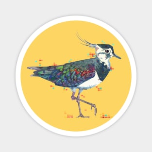 Lapwing Magnet